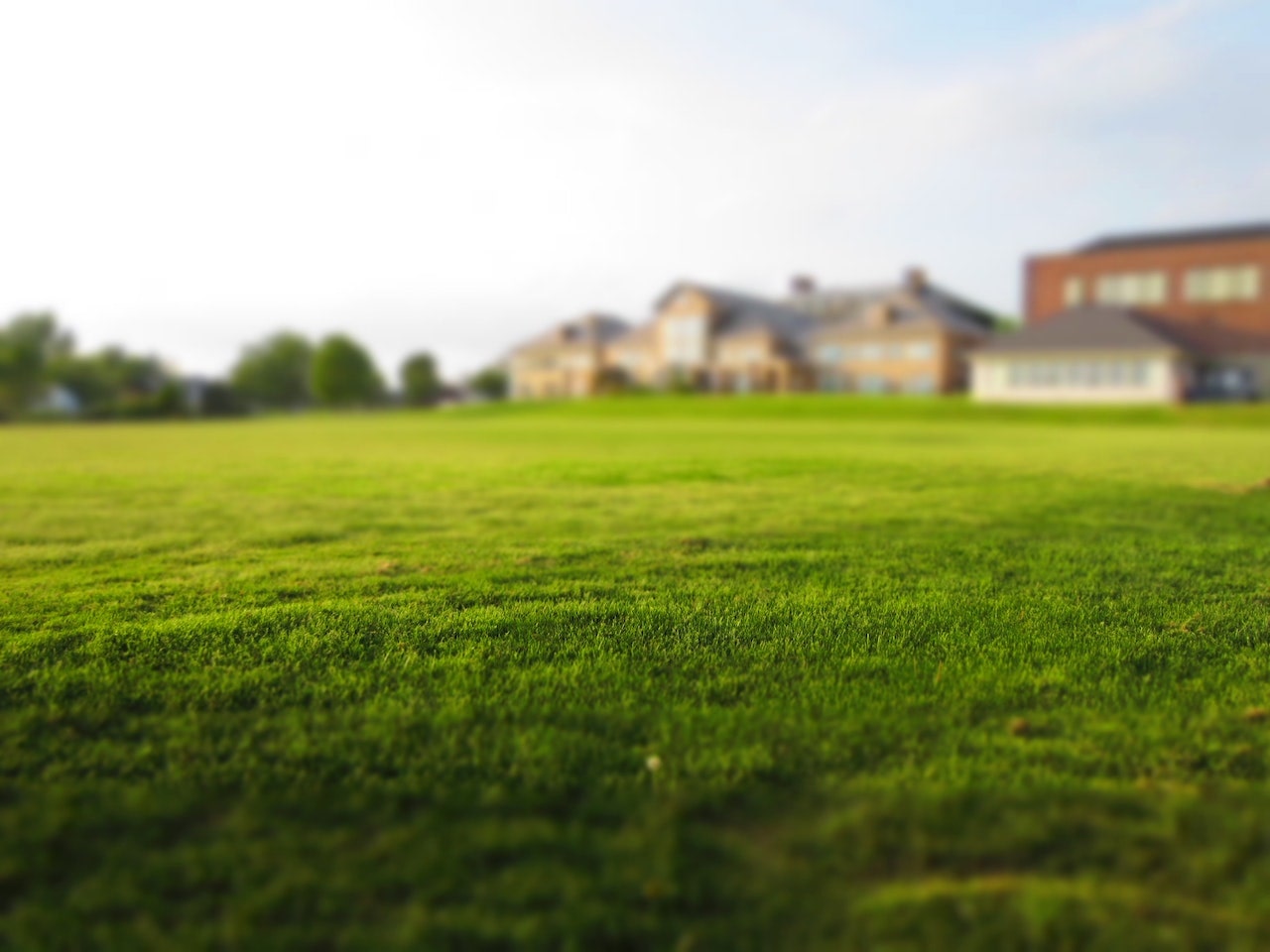 Lawn Returfing