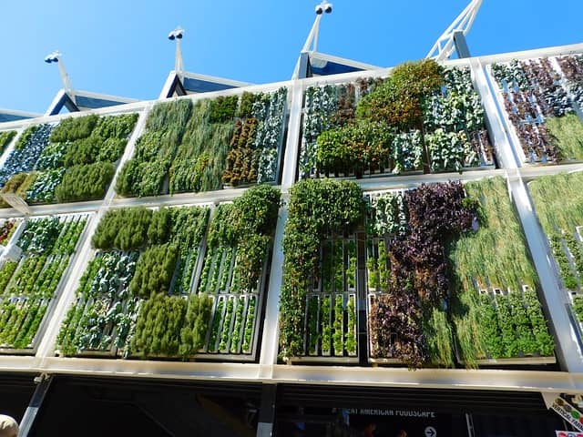 Vertical Garden Showcase