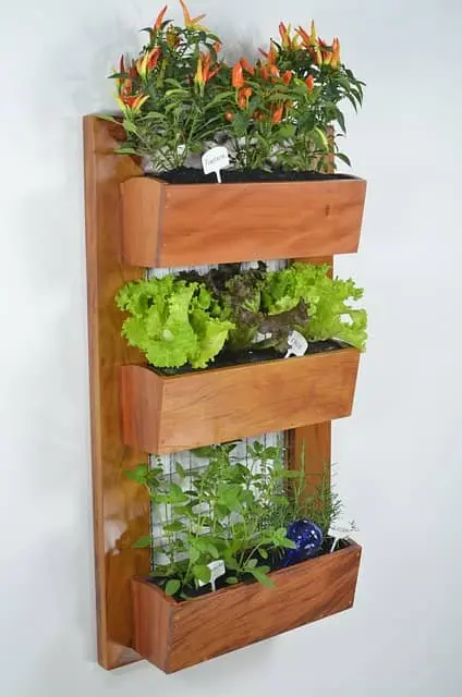 Vertical Gardening - Maximizing Space in Small Gardens featured image